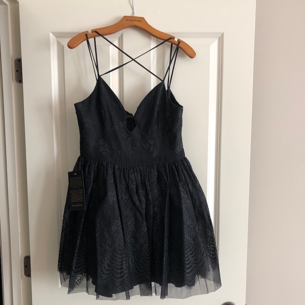 Bebe Tulle and Lace Dress